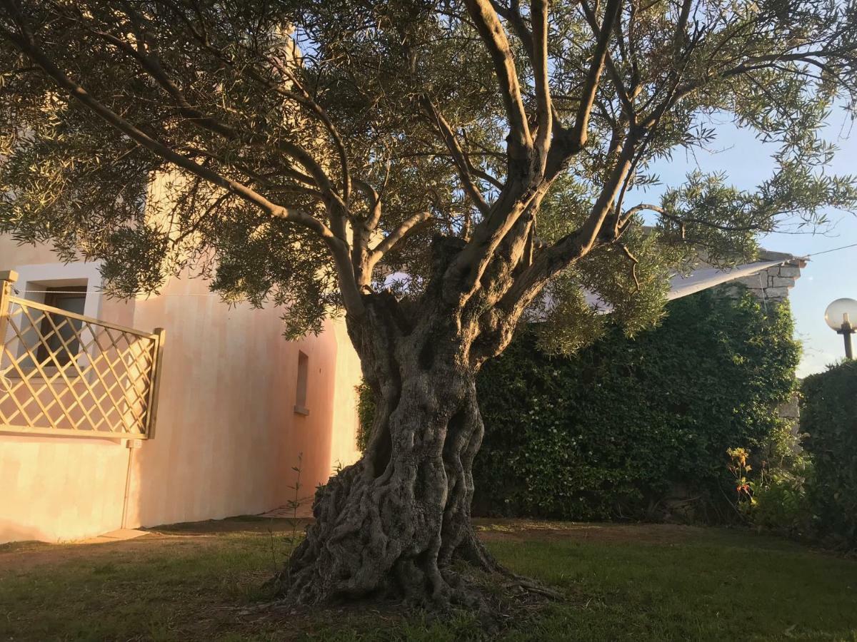 Esmeralda'S Rooms Porto San Paolo  Ngoại thất bức ảnh